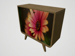cabinet with print 3D Model