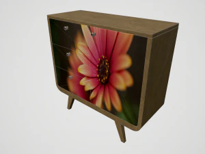 cabinet with print 3D Model