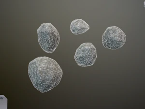 kamień tom 5 Model 3D