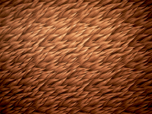 stylized fur Tekstur CG