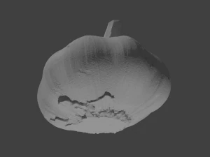 Garlic candle holder 3D Print Model