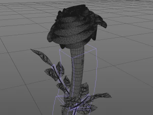 rose 3D Model