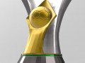 Brazilian championship trophy 3D Model