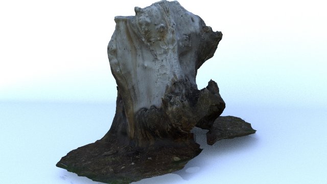 trunk 3D Model .c4d .max .obj .3ds .fbx .stl .blend 