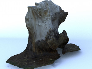 trunk 3D Model