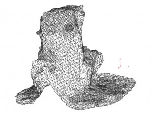 trunk 3D Model