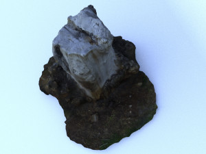 trunk 3D Model