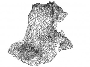 trunk 3D Model