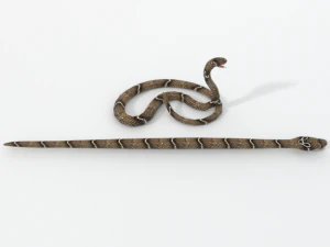 cobra snake 3D Model