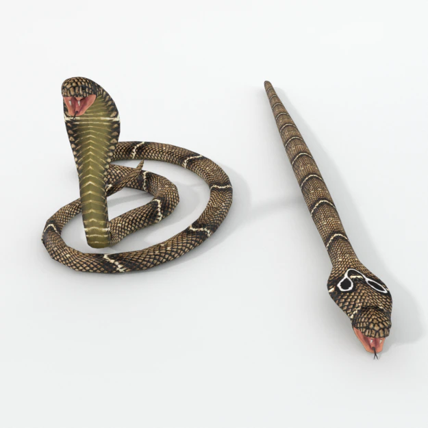 cobra snake 3D Model .c4d .max .obj .3ds .fbx .stl .blend 