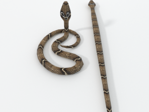 cobra snake Model 3D