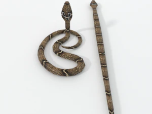 cobra snake 3D Model