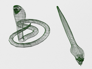 cobra snake Model 3D
