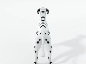 dalmatian 3D Model