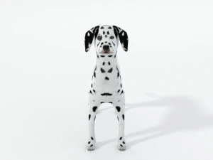 dalmatian 3D Model