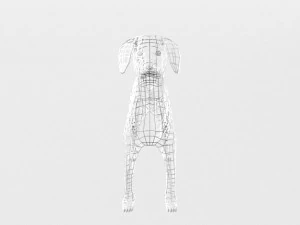 dalmatian 3D Model