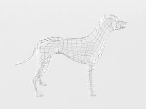 dalmatian 3D Model