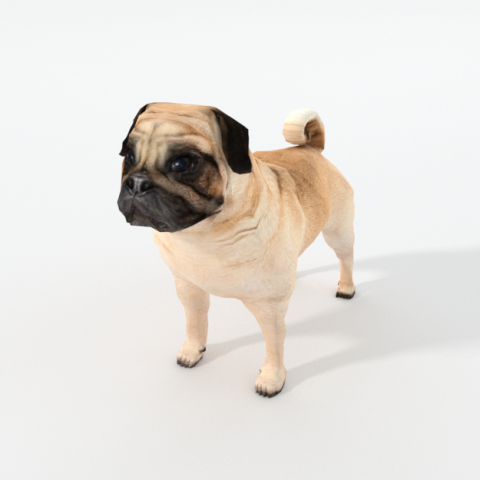 pug 3D Model .c4d .max .obj .3ds .fbx .stl .blend 