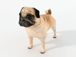mops Model 3D