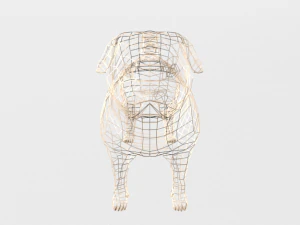 pug 3D Model