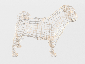pug 3D Model