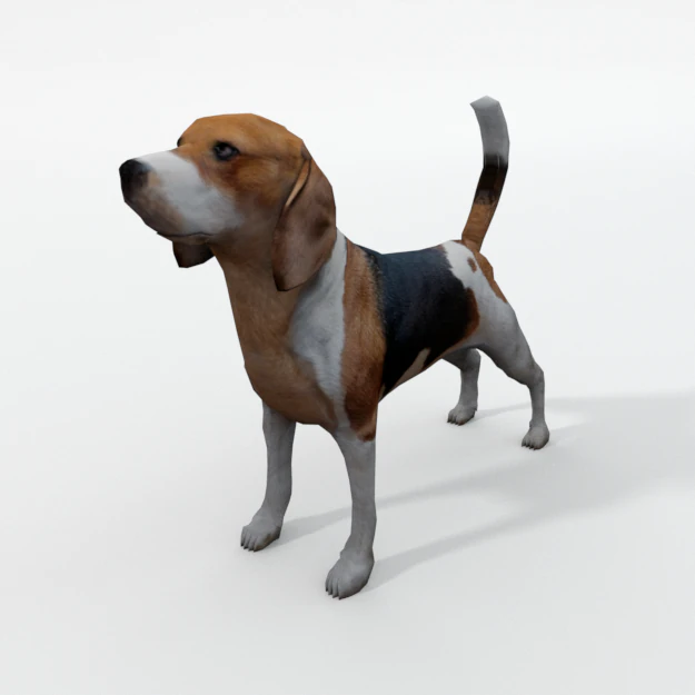 beagle dog 3D Model .c4d .max .obj .3ds .fbx .stl .blend