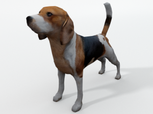beagle dog 3D Model