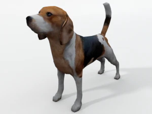 cachorro beagle Modelo 3D