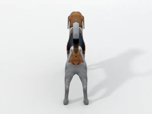 beagle dog 3D Model