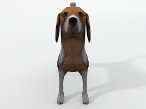 beagle dog 3D Model