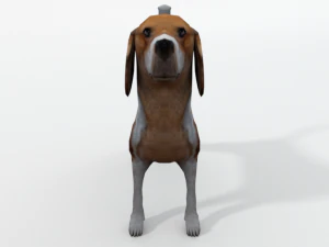 beagle dog 3D Model