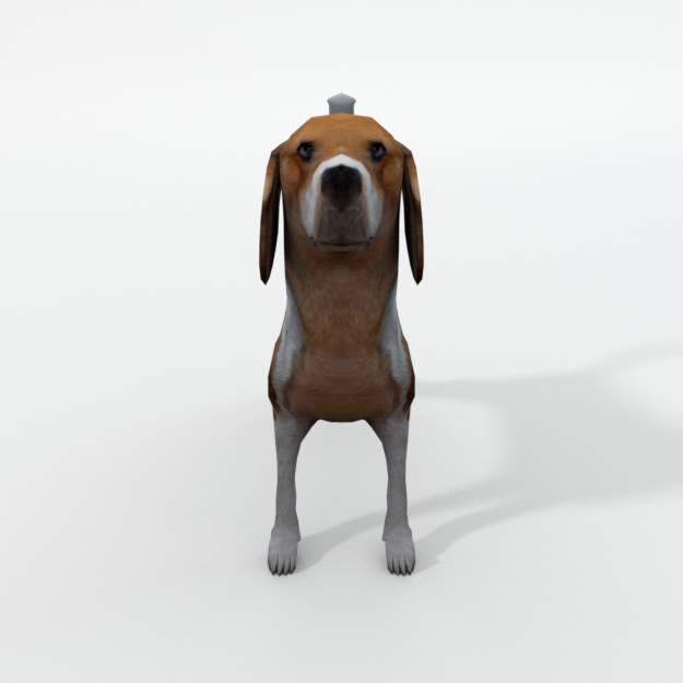 Beagle Dog 3d Model In Dog 3dexport