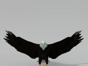 bald eagle 3D Model