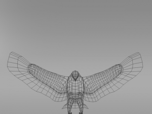 bald eagle Modello 3D