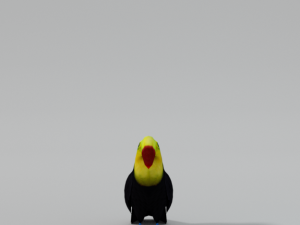 toucan 3Dモデル