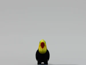 toucan Modèle 3D
