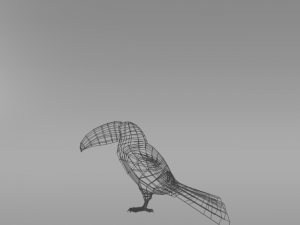 toucan 3Dモデル