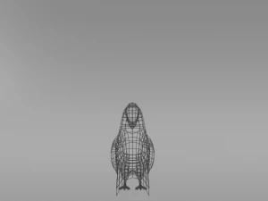 toucan Modèle 3D