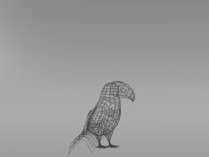 toucan 3Dモデル