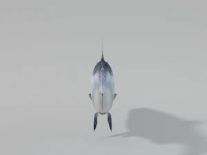 salmon 3D Model