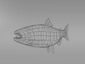 salmon 3D Model