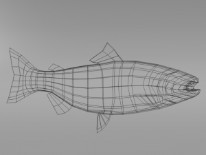 salmon 3Dモデル