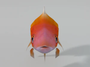 peixinho dourado Modelo 3D