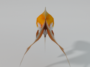 goldfish 3D Model