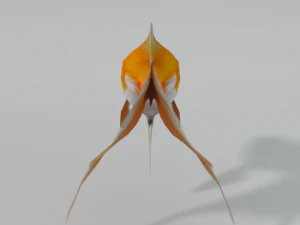 peixinho dourado Modelo 3D