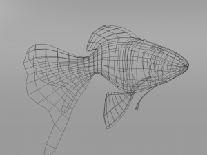 goldfish 3D Model