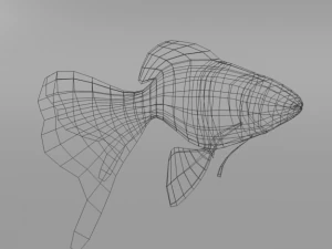 peixinho dourado Modelo 3D