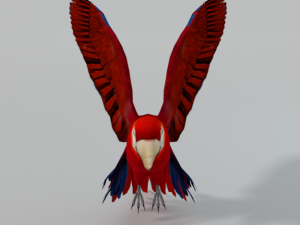 red macaw Modèle 3D