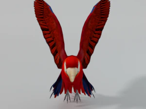 red macaw 3D Model