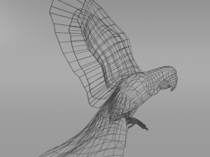 red macaw Modèle 3D